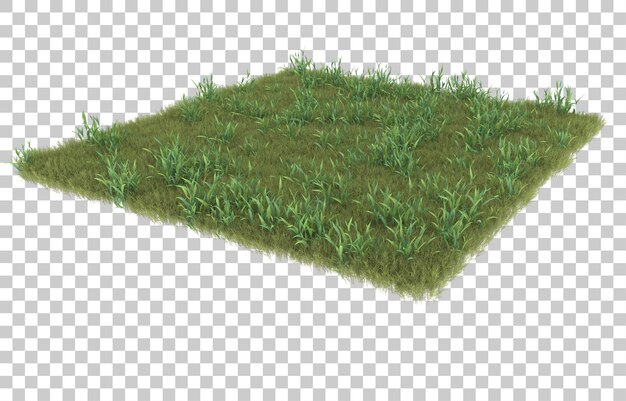 Erba su sfondo trasparente. rendering 3D - illustrazione