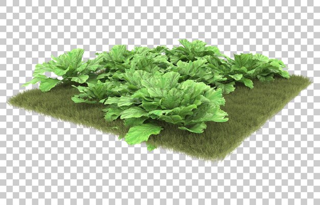 Erba su sfondo trasparente. rendering 3D - illustrazione