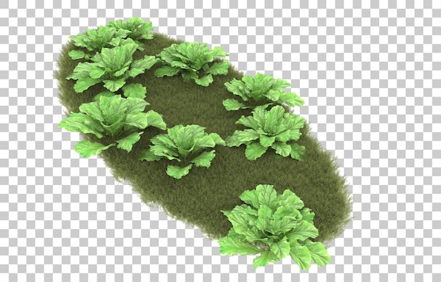 Erba su sfondo trasparente. rendering 3D - illustrazione