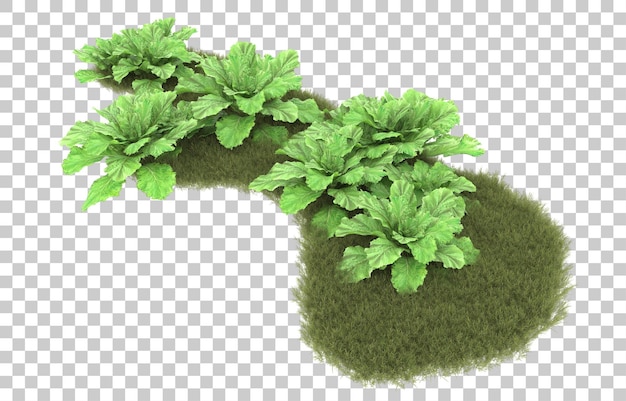 Erba su sfondo trasparente. rendering 3D - illustrazione