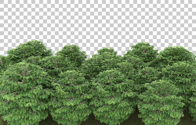 Erba su sfondo trasparente. rendering 3D - illustrazione