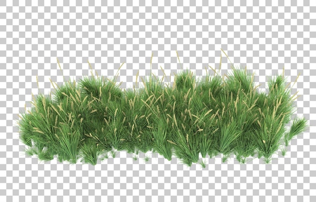 Erba su sfondo trasparente. rendering 3D - illustrazione