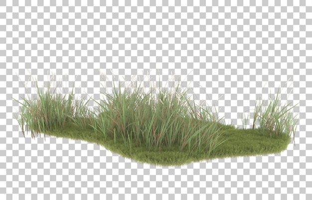 Erba su sfondo trasparente. rendering 3D - illustrazione