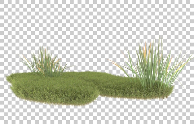 Erba su sfondo trasparente. rendering 3D - illustrazione