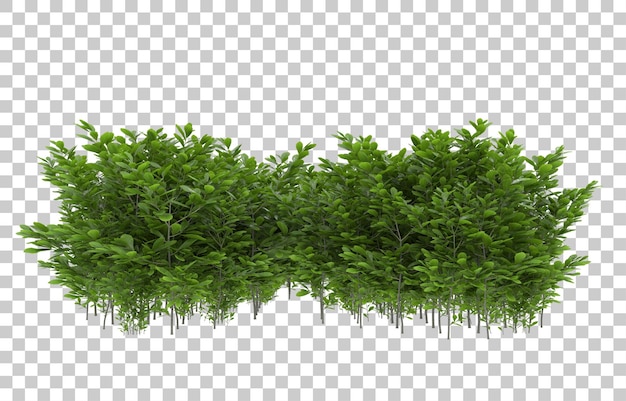 Erba su sfondo trasparente. rendering 3D - illustrazione