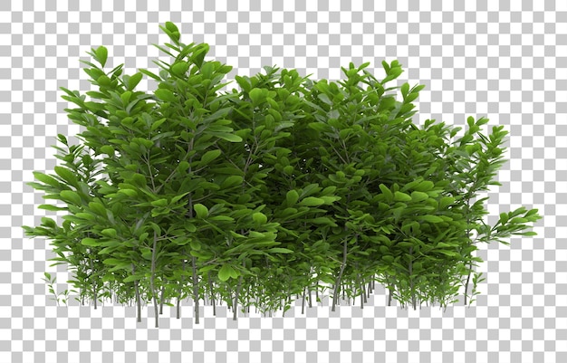 Erba su sfondo trasparente. rendering 3D - illustrazione