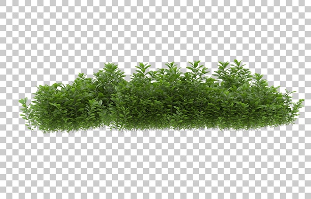 Erba su sfondo trasparente. rendering 3D - illustrazione