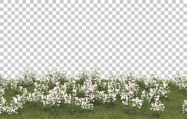 Erba su sfondo trasparente. rendering 3D - illustrazione