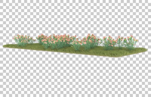 Erba su sfondo trasparente. rendering 3D - illustrazione