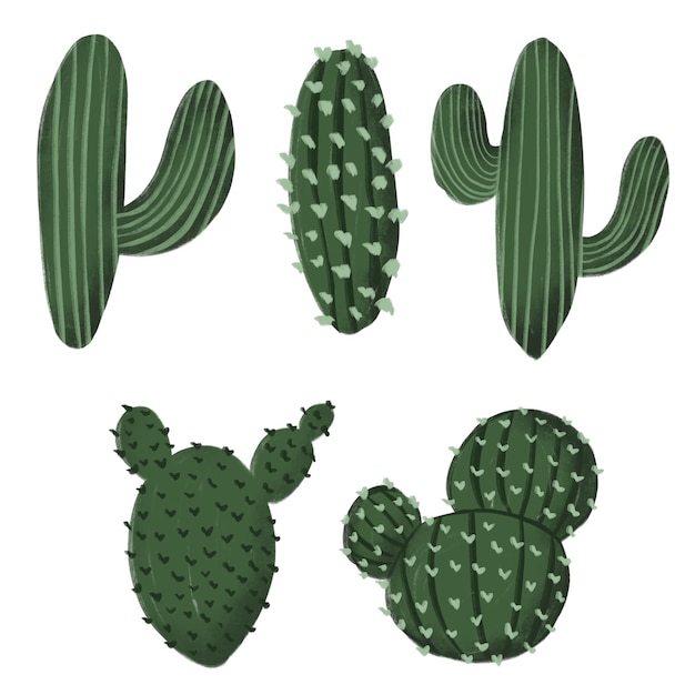 PSD esta es una colección de plantas de cactus dibujadas a mano.