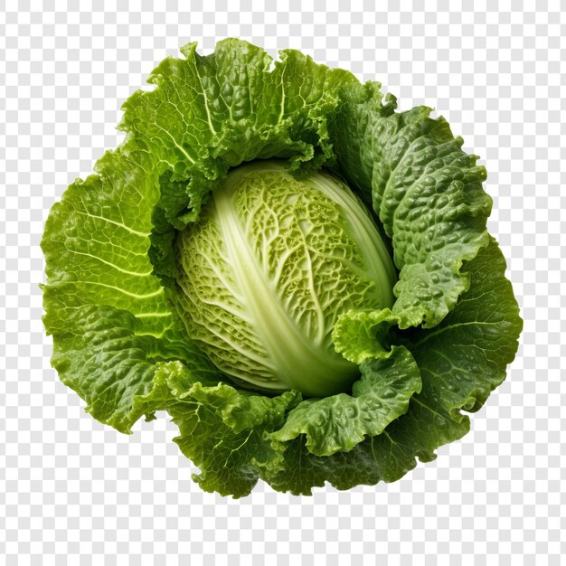 PSD escarole isolée sur un fond transparent