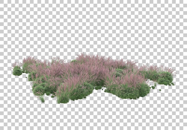 Escena de hierba en la ilustración de renderizado 3d de fondo transparente