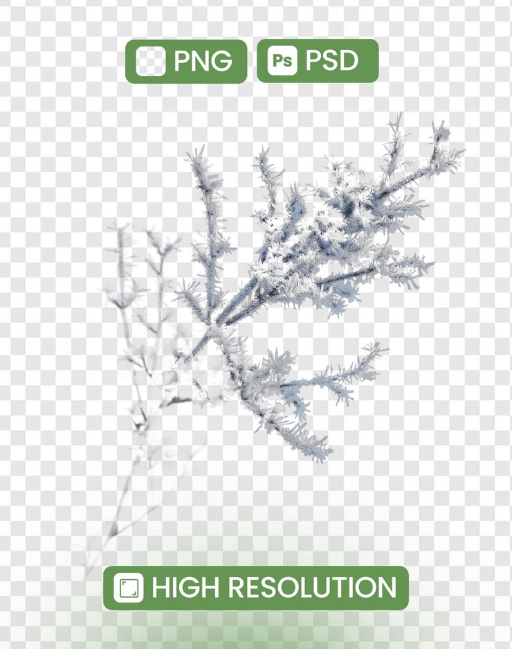 PSD escena de invierno de la rama congelada con fondo transparente aislado de alta resolución