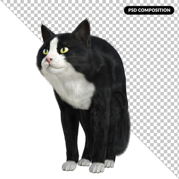 PSD esmoquin gato aislado 3d