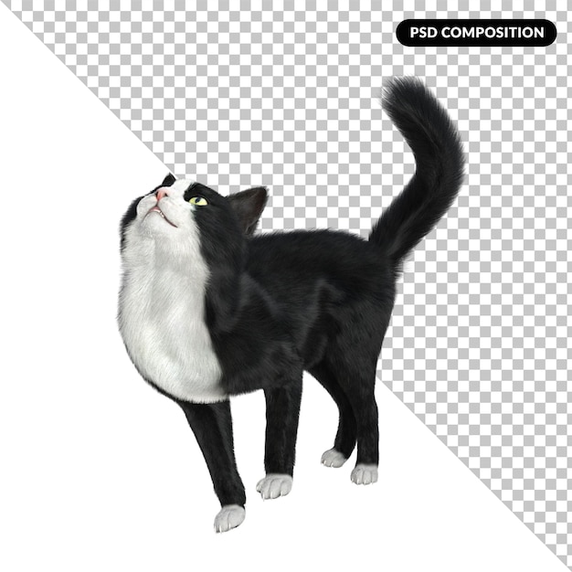 PSD esmoquin gato aislado 3d