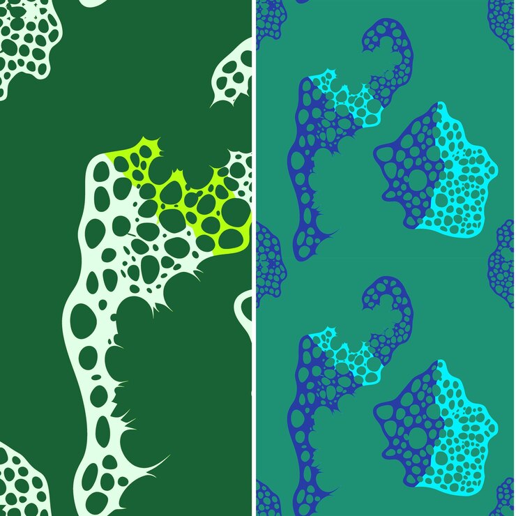 PSD esponja de mar con silueta irregular texturizada diseños vectoriales de patrones de naturaleza gráficos mínimos
