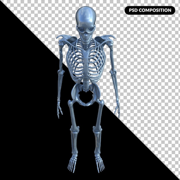 PSD esqueleto x ray isolado renderização 3d