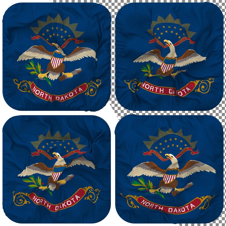 PSD estado de dakota del norte bandera forma de escudero aislado diferentes estilos de ondulación textura de relieve representación 3d