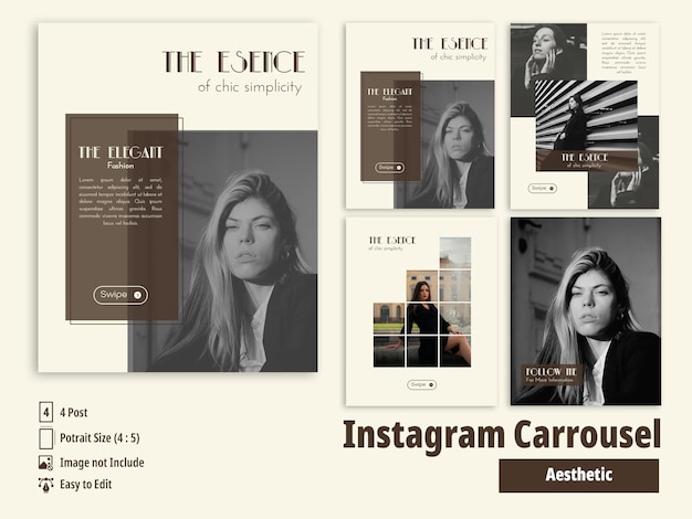 Estetico Instagram Carousel Template Design Dimensione del ritratto
