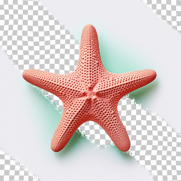 PSD estrela do mar em fundo transparente