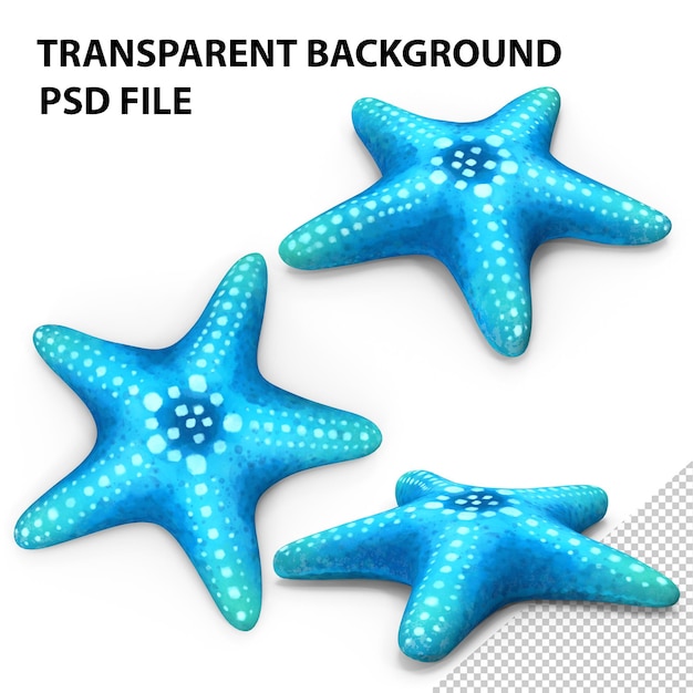 PSD estrella de mar png