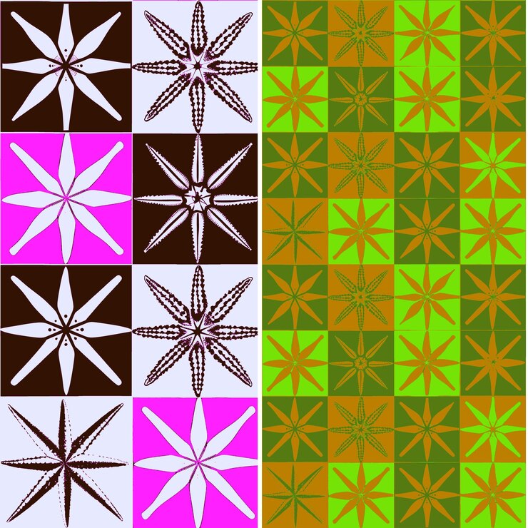 PSD estrella de mar con silueta en forma de estrella diseño geométrico mínimo diseños vectoriales de patrones naturales