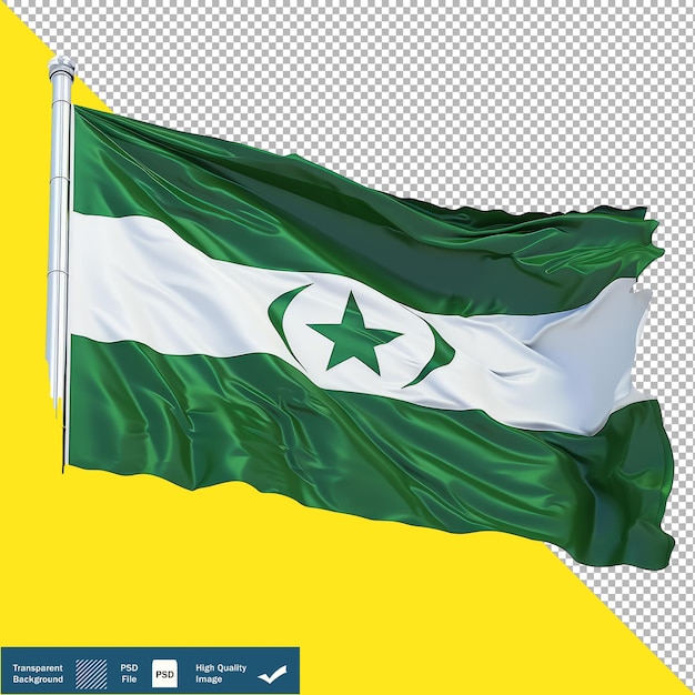 PSD l'étoile à cinq points du drapeau du pakistan rendering vue gauche arrière-plan transparent stylisé png psd
