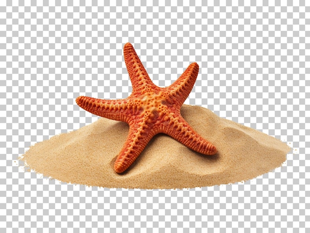 PSD Étoile de mer sur le sable isolé sur fond transparent png psd