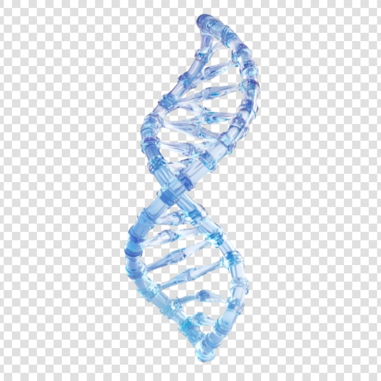 PSD une étonnante hélice d'adn cristalline code génétique science biotechnologie