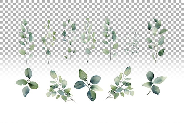 PSD eucalyptus acuarela sin costuras para las invitaciones de boda de sage green.