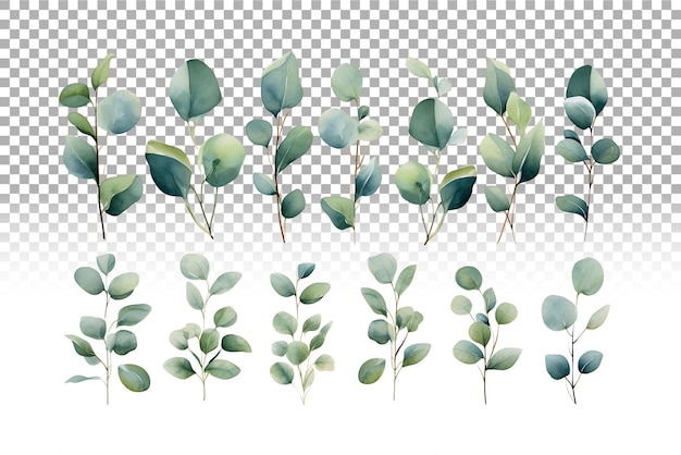 PSD eucalyptus acuarela sin costuras para las invitaciones de boda de sage green.