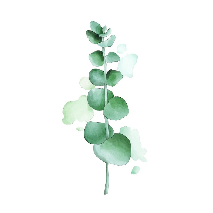 PSD eukalyptus-symbol aquarell-textur handgezeichneter aufkleber postkartenzeichen weißer hintergrund grüner garten