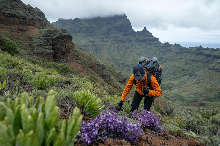 PSD un excursionista examinando las flores silvestres púrpuras en un sendero montañoso empinado