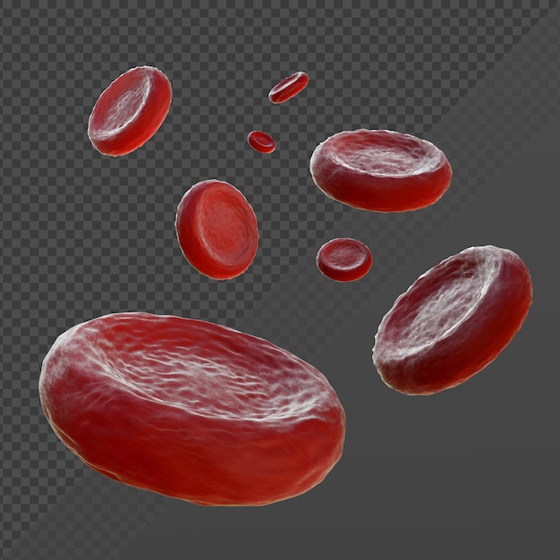 Exibição em perspectiva de glóbulos vermelhos de renderização 3d