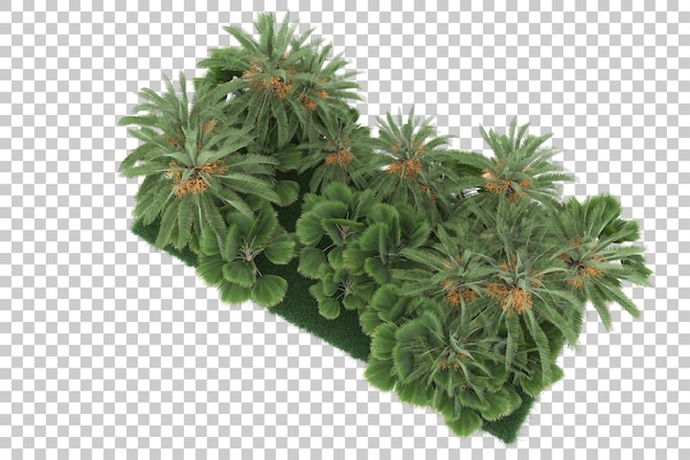 Exotischer Wald auf transparentem Hintergrund. 3D-Rendering - Abbildung