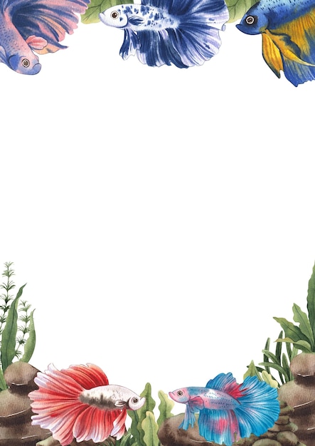 Explorant la beauté des Betta Splendens thaïlandais dans la vie aquatique à l'aquarelle dessinée à la main