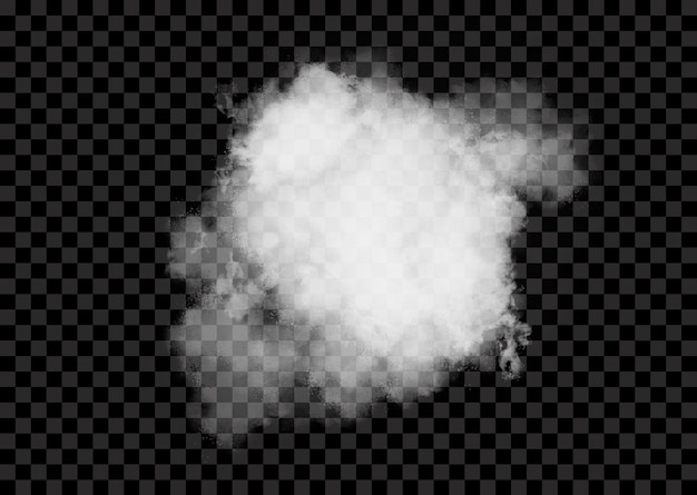 Explosión de polvo sobre fondo transparente.