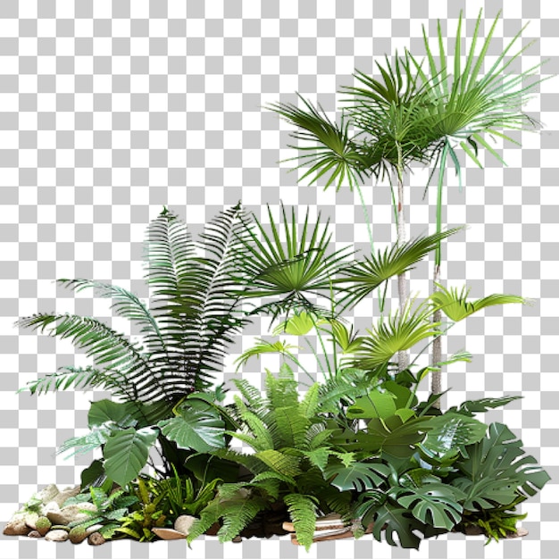 Las exuberantes plantas tropicales