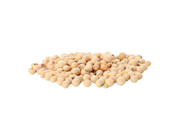 Fagioli di soia PNG isolati su sfondo bianco