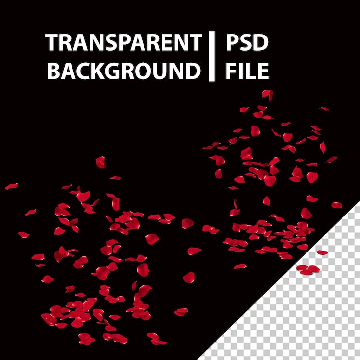 PSD fallende rosenblätter png