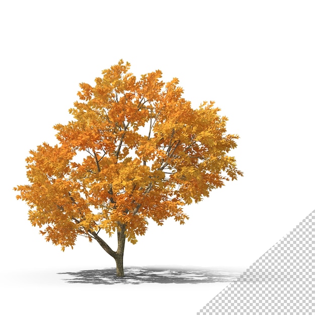 PSD fallender baum png