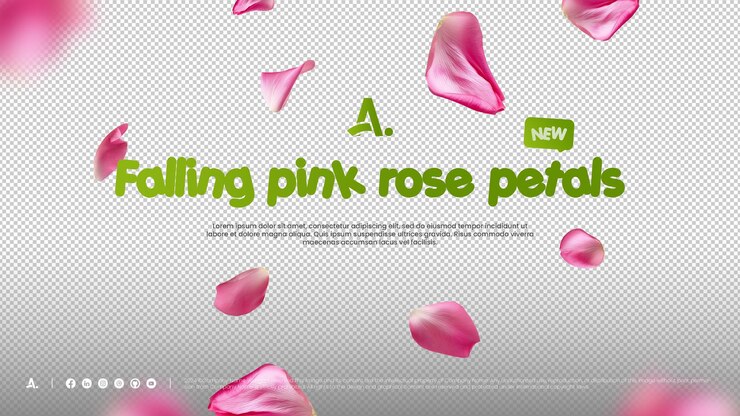 PSD falling pink rose petals create a romantic and serene atmosphere