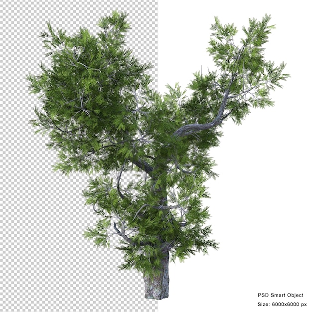 Fantástica árvore isolada renderização 3d