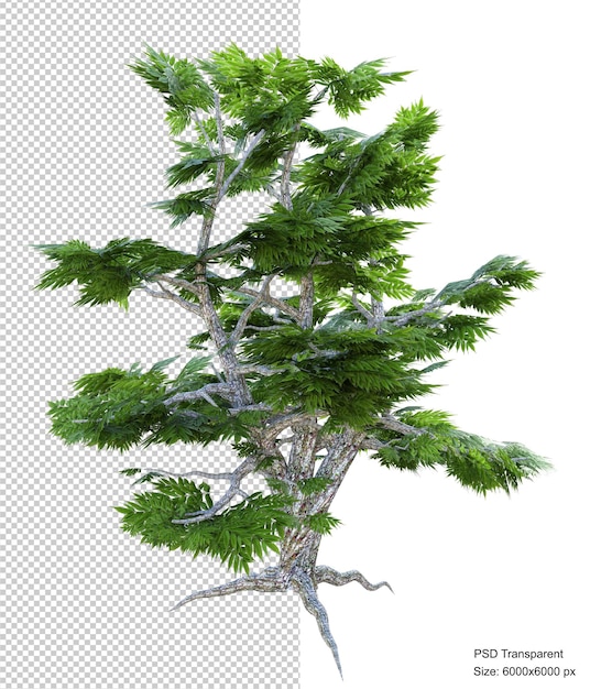 Fantástico árbol aislado render 3d