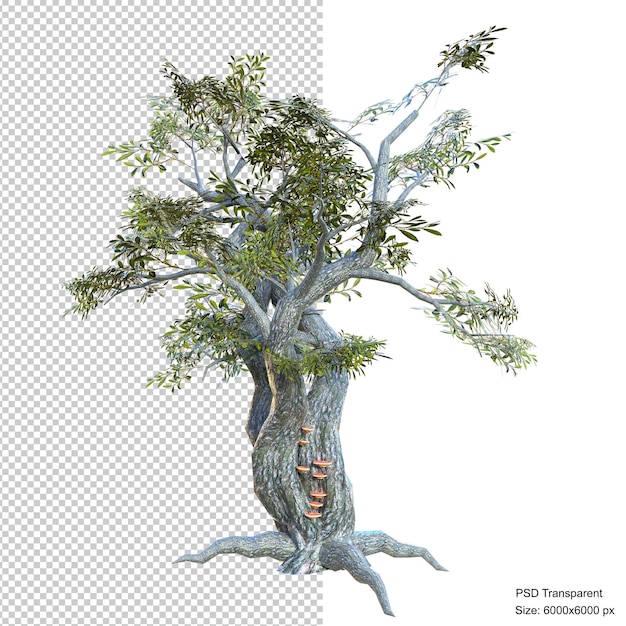 PSD fantástico árbol aislado render 3d