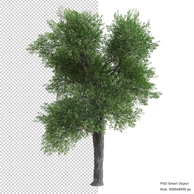 Fantástico árbol aislado render 3d