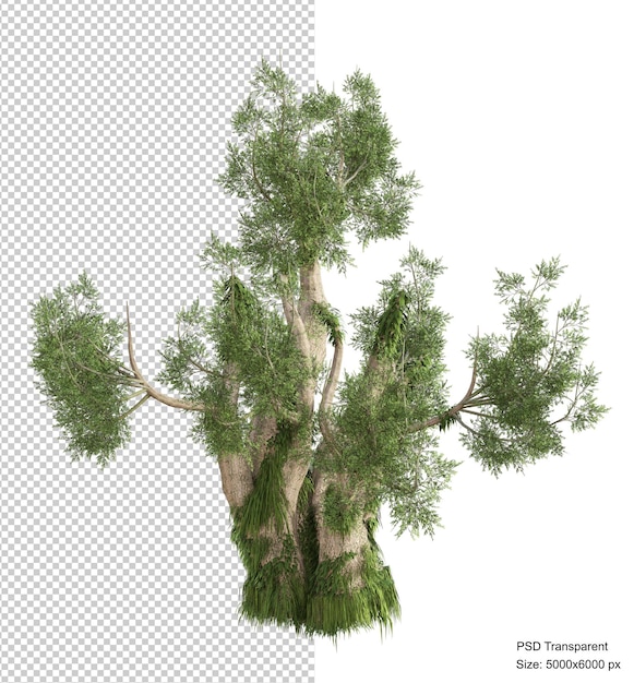 PSD fantastischer baum isoliert 3d-render