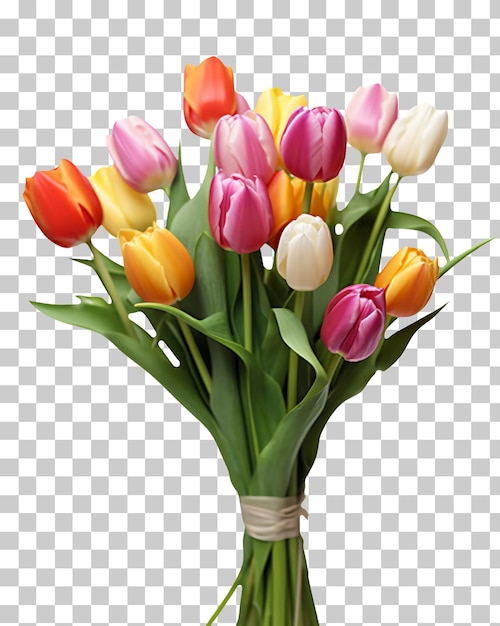 Farbiger Blumenstrauß von Tulpen, isoliert auf durchsichtigem Hintergrund png psd