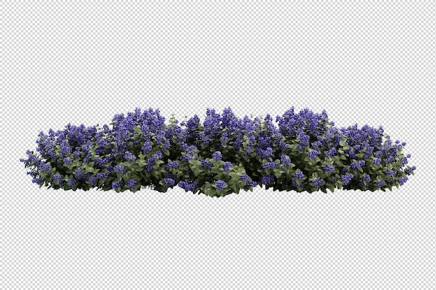 Farn in 3D-Rendering ausschneiden