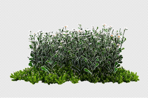 Farn in 3D-Rendering ausschneiden